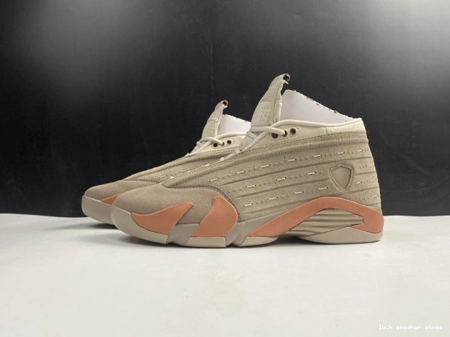 Rep LUCY Jordan Low 14 DC9857-200 Terra Clot AIR Blush Retro 0728